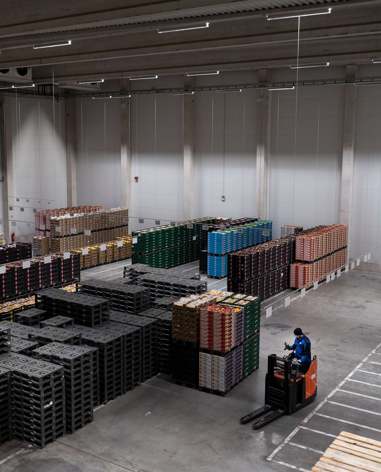 Numerous black plastic pallets and colourful boxes of fruit are stacked in a warehouse. A PAPP employee in a blue jacket is driving a red pallet truck.