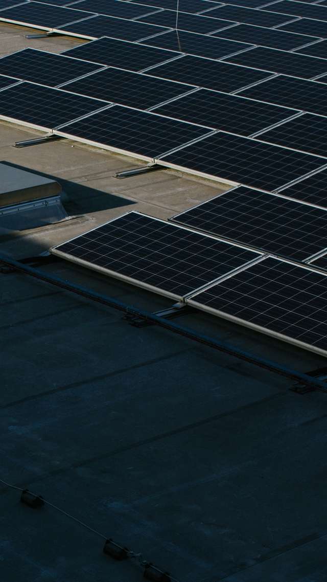 Dozens of solar panels on the roof of the PAPP building shine in the sunlight.