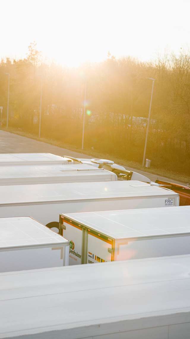 Una fila di camion si staglia alla luce del sole nascente. La luce si riflette sui loro tetti.