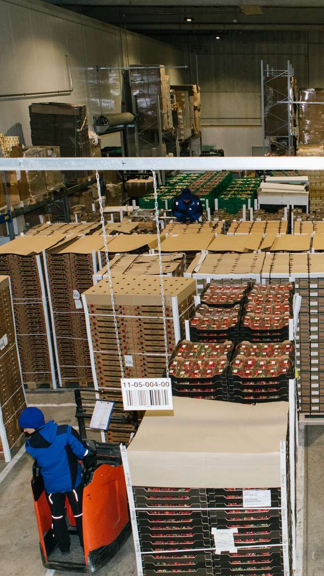 In a warehouse there are piles of pallets with fruit and vegetables. A PAPP employee rides a pallet truck between the pallets.