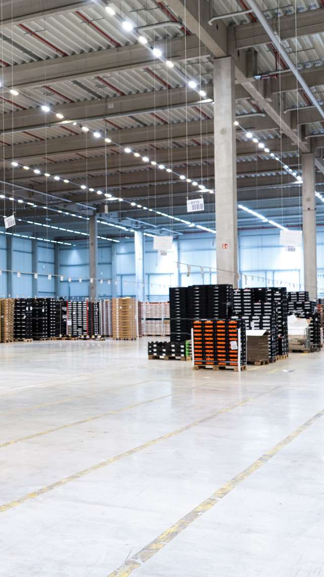 Pallets of groceries are stacked in a huge, brightly lit warehouse.