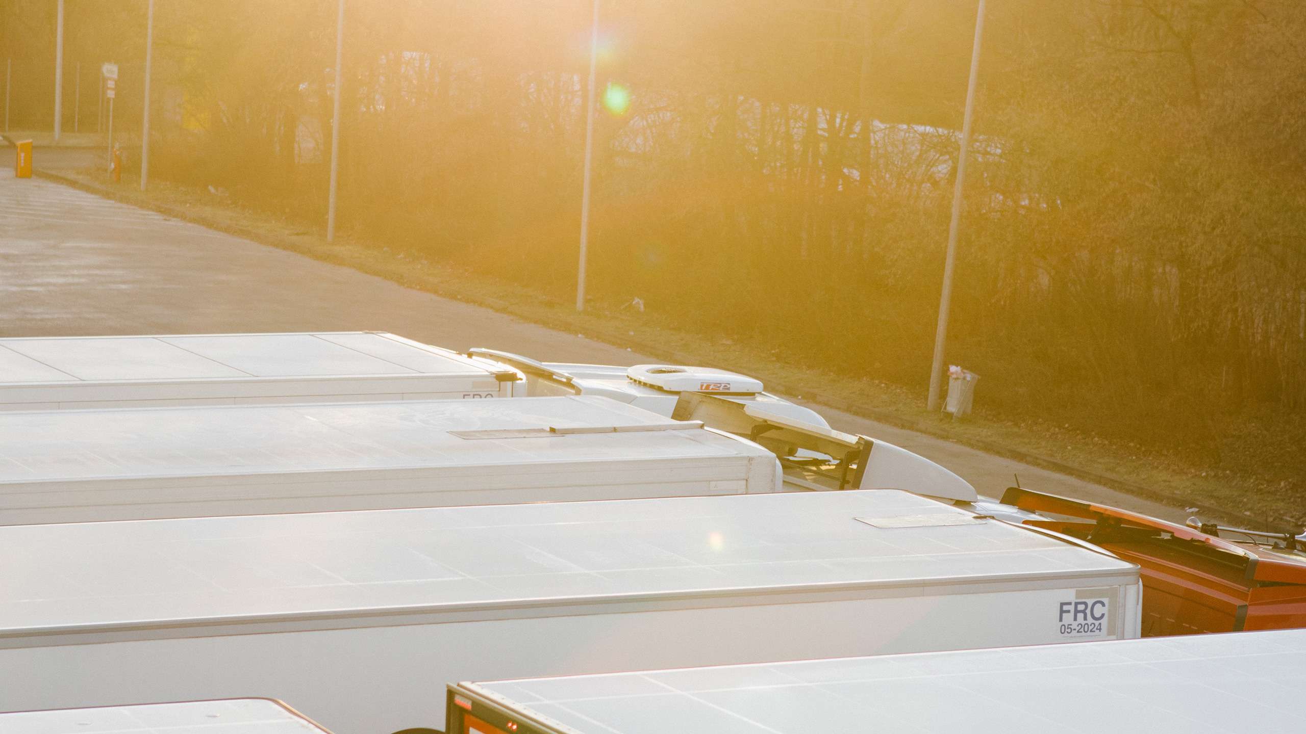 A row of trucks is parked in the light of the rising sun. The light reflects on their roofs.