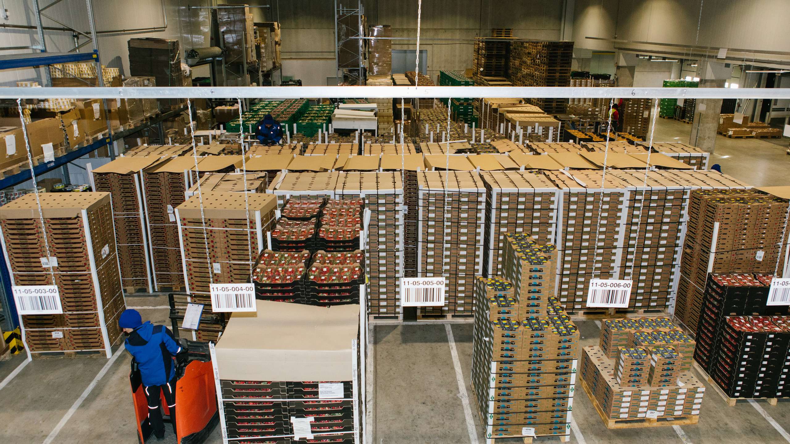 In a warehouse there are piles of pallets with fruit and vegetables. A PAPP employee rides a pallet truck between the pallets.
